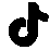 TikTok ad network logo